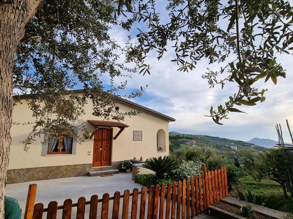 Maison Emilie